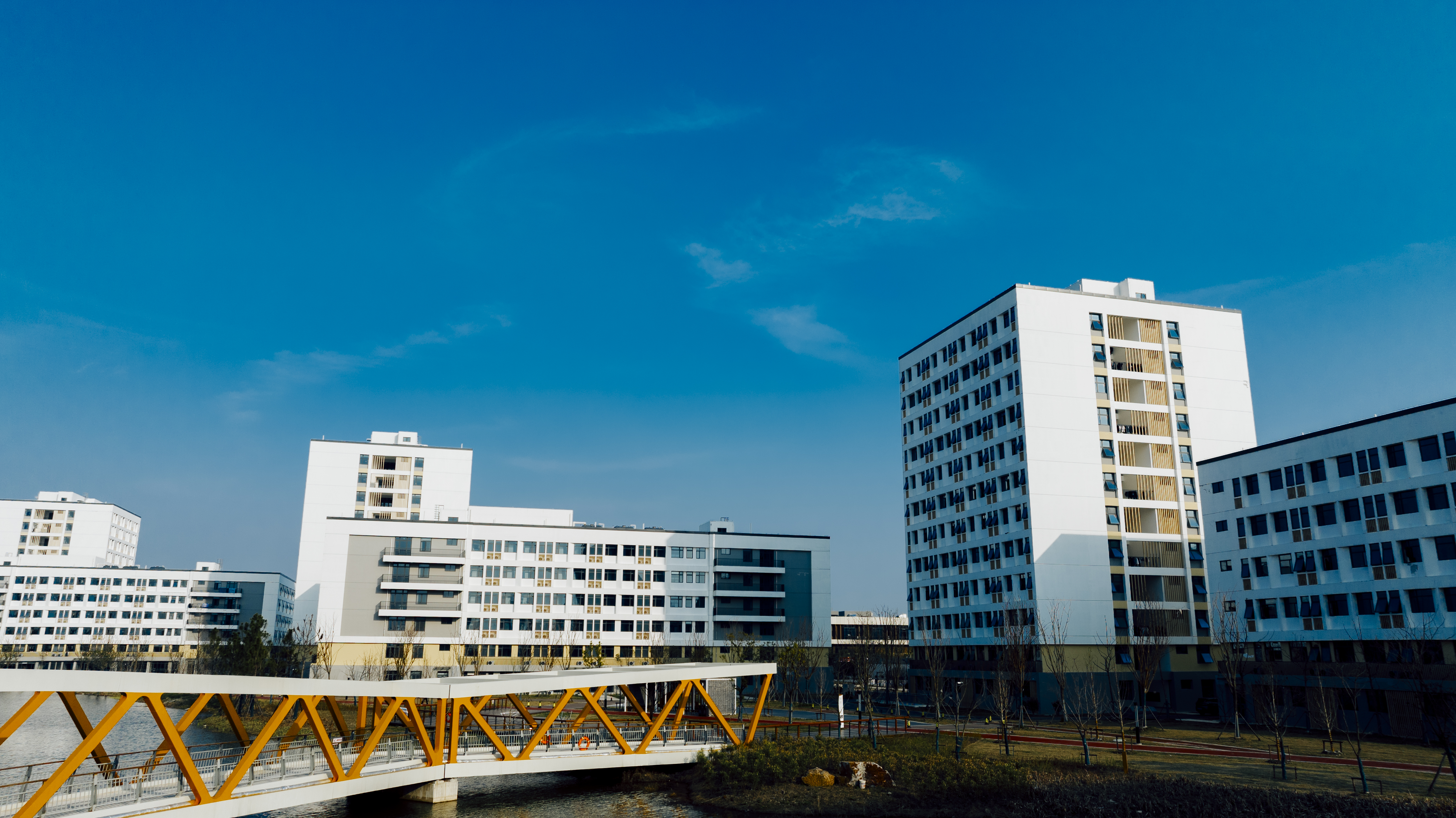 12.学生宿舍外景.jpg